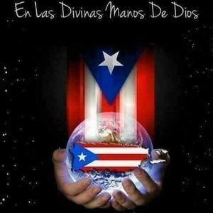 Meet your Posher, Iris